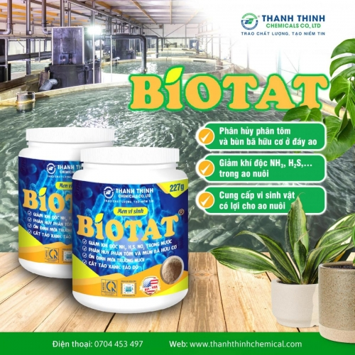 BIOTAT® - Giảm khí độc, phân hủy phân tôm và mùn bã hữu cơ ở đáy nước ao nuôi