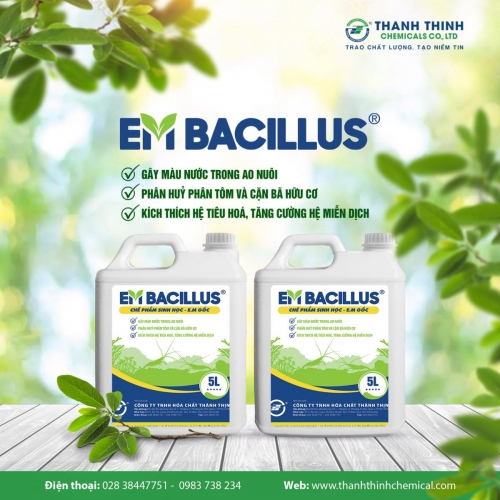 EM®BACILLUS (EM GỐC) - Gây màu nước trong ao nuôi, phân hủy phân tôm, kích thích hệ tiêu hóa