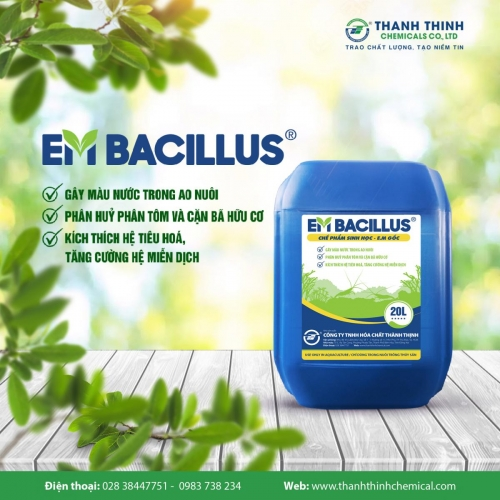 EM®BACILLUS (EM GỐC) - Gây màu nước trong ao nuôi, phân hủy phân tôm, kích thích hệ tiêu hóa