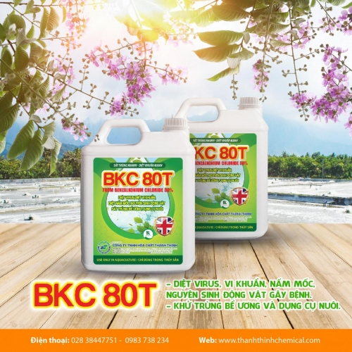 BKC 80T - BKC 80% (5 lít/can) - Diệt virus, vi khuẩn, nấm mốc, nguyên sinh động vật gây bệnh, khử trùng bể ương, dụng cụ nuôi